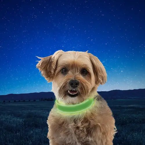 Nitedog® Rechargeable Led Collar - Dog Collar - Nite Ize