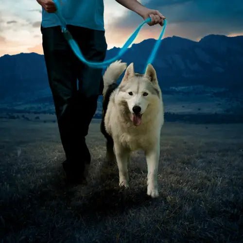 Nitedog® Rechargeable Led Leash - Dog Leash - Nite Ize