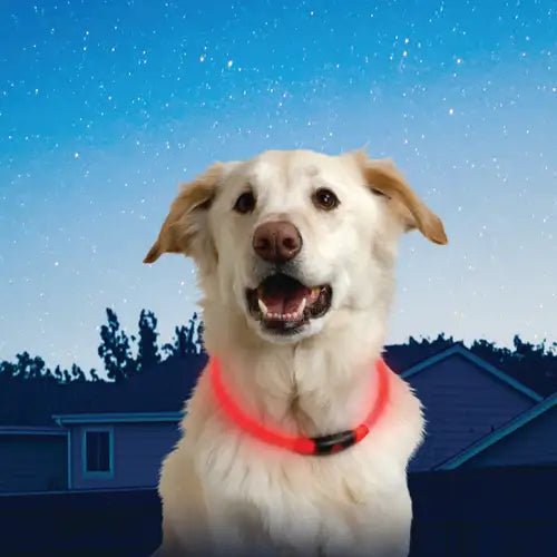 Nitehowl® Led Safety Necklace - Safety Necklace - Nite Ize