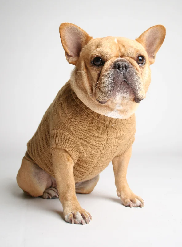 Tot Thot Dog Sweater